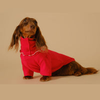 HKM-5830333 Casual Four-Legged Pet Coat for Dachshunds - Available in Red, Gray, Green, Silver