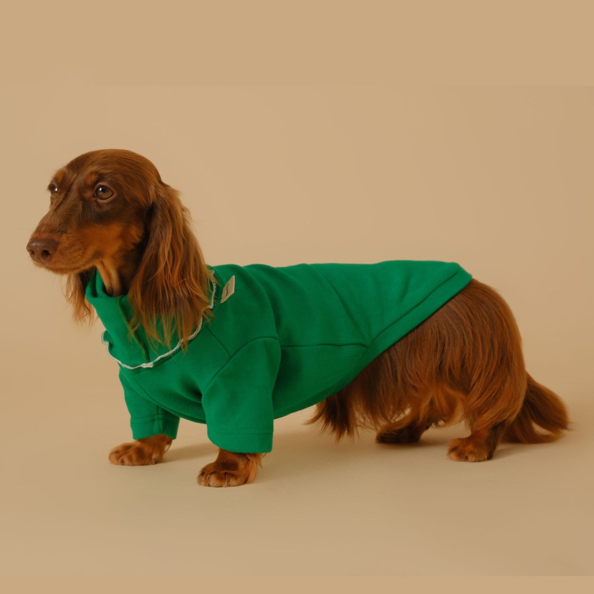 HKM-5830333 Casual Four-Legged Pet Coat for Dachshunds - Available in Red, Gray, Green, Silver