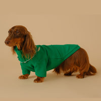 HKM-5830333 Casual Four-Legged Pet Coat for Dachshunds - Available in Red, Gray, Green, Silver