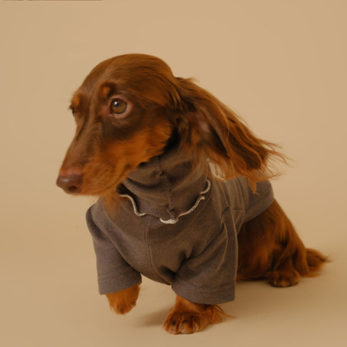 HKM-5830333 Casual Four-Legged Pet Coat for Dachshunds - Available in Red, Gray, Green, Silver