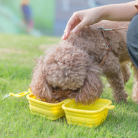 HKM-5831741 Collapsible Silicone Double Bowl for Dogs and Cats - Portable Feeding Dish for Food and Water