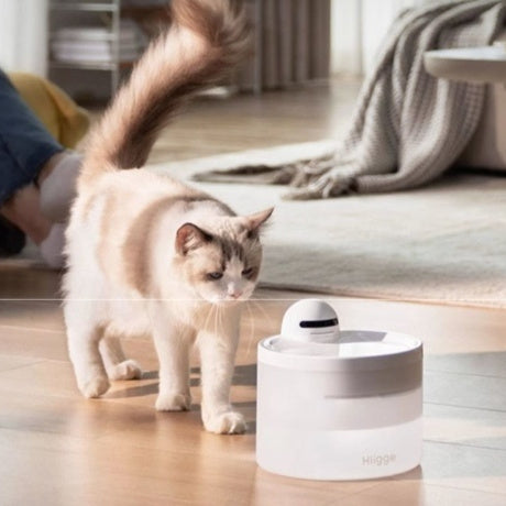HKM-5839549 Smart Wireless Pet Water Dispenser with 24-Hour Water Quality Monitoring for Cats and Dogs