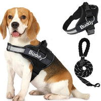 HKM-5845309 Couple Dog Chest Strap with Lead Rope ¨C Durable Polyester Pet Harness