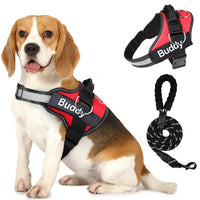 HKM-5845309 Couple Dog Chest Strap with Lead Rope ¨C Durable Polyester Pet Harness