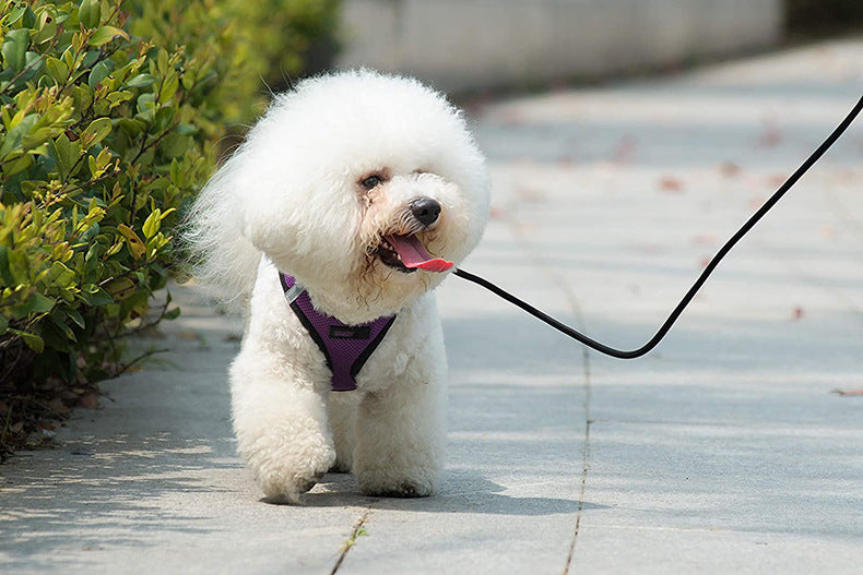 HKM-5848509 Reflective Mesh Dog Walking Rope with Adjustable Chest Strap - Breathable and Scalable Pet Harness
