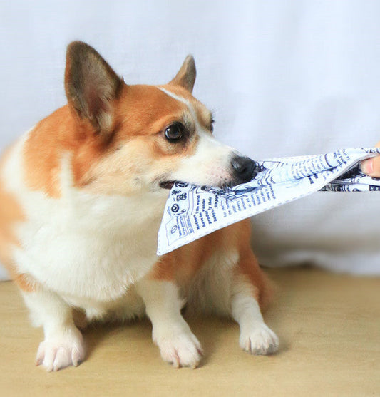 HKM-5850045 Pet Dog Sound Paper Toy - Cloth and Sound Paper Newspaper for Playtime, 25x18cm