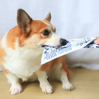 HKM-5850045 Pet Dog Sound Paper Toy - Cloth and Sound Paper Newspaper for Playtime, 25x18cm