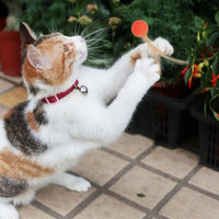 HKM-5852477 Interactive Bouncy Ball for Cats and Dogs - Colorful High Elastic Chew Toy for Endless Fun and Exercise