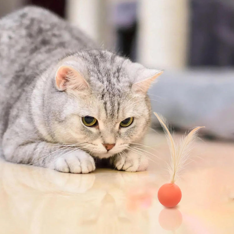 HKM-5852477 Interactive Bouncy Ball for Cats and Dogs - Colorful High Elastic Chew Toy for Endless Fun and Exercise