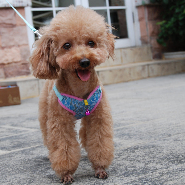 HKM-5854269 Pet Dog and Cat Lace Trim Undershirt Leash Chest Harness - Blue, Purple, Rose - Multiple Sizes Available