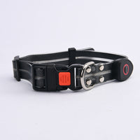 HKM-5854781 LED Collar with Hand Holding Rope for Pets in Multiple Colors