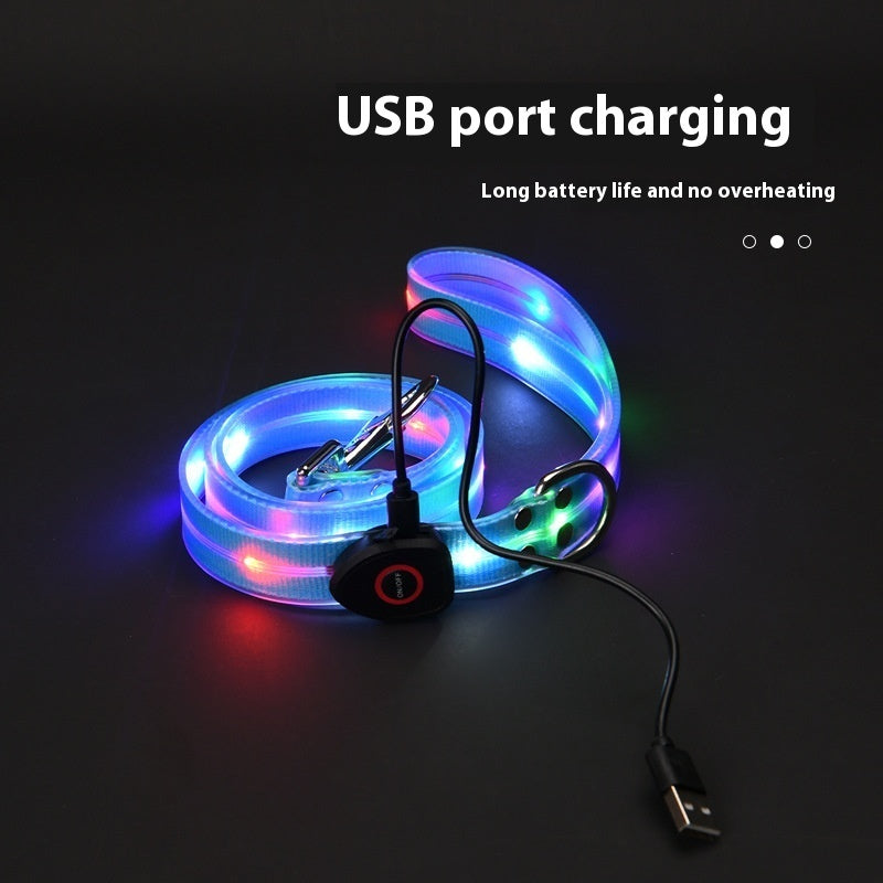 HKM-5854781 LED Collar with Hand Holding Rope for Pets in Multiple Colors