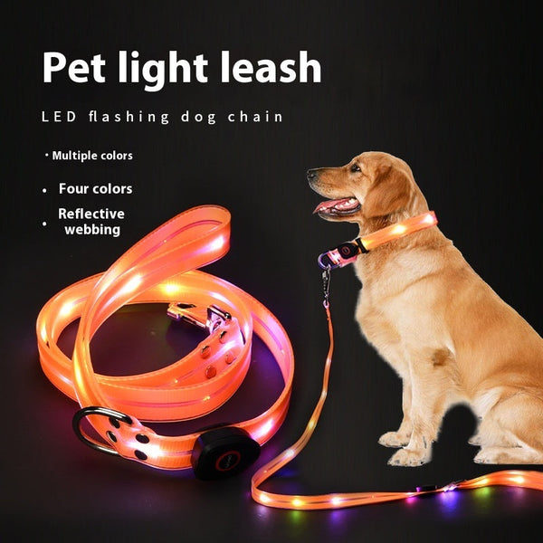 HKM-5854781 LED Collar with Hand Holding Rope for Pets in Multiple Colors