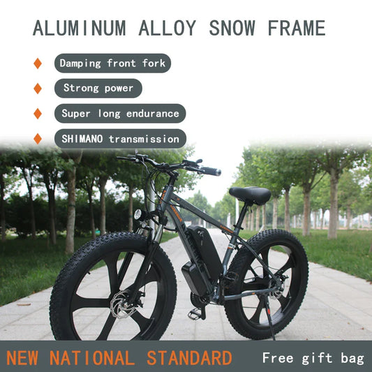 HKM-585491 48V 750W Integrated Wheel Fat Tire E-Bike with 21-Speed, Aluminum Frame, and Snow Tires
