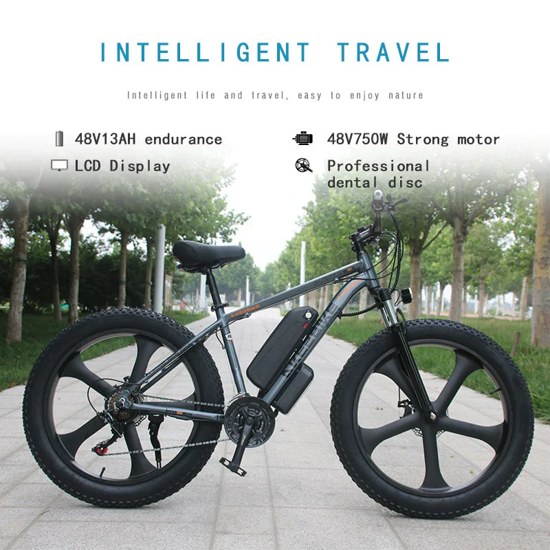HKM-585491 48V 750W Integrated Wheel Fat Tire E-Bike with 21-Speed, Aluminum Frame, and Snow Tires