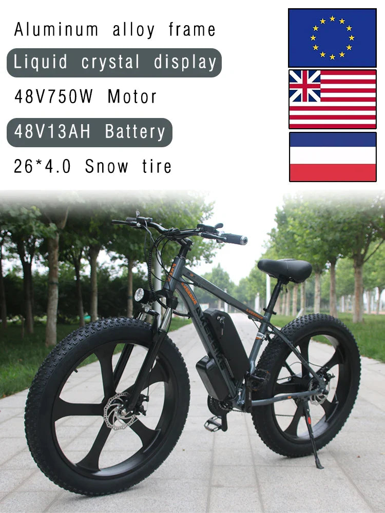 HKM-585491 48V 750W Integrated Wheel Fat Tire E-Bike with 21-Speed, Aluminum Frame, and Snow Tires