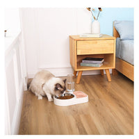 HKM-5855165 Automatic Stainless Steel Pet Water Feeding Bowl ¨C Integrated Tableware for Dogs and Cats in Brown, Blue, Pink