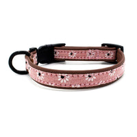 HKM-5856957 Light Blue and Pink Adjustable Dog Collar with Plastic Buckle ¨C Sizes XS to L