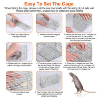 HKM-5860413 Humane and Reusable Mouse Trap - Safe for Families, Easy to Install, for Indoor/Outdoor Use