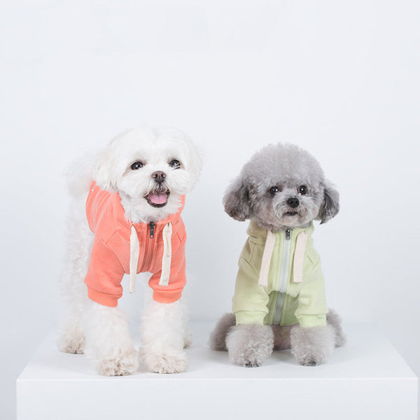 HKM-5865789 Casual Macaron Hooded Pet Sweatshirt in Tender Green, Water Blue, and Orange Powder