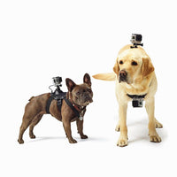 HKM-5870653 Dog Chest and Back Harness for GoPro Camera - Adjustable and Water-Washable Pet Mount