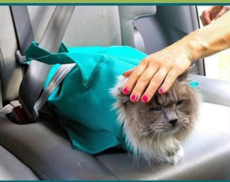 HKM-5872701 Pet Travel Sling Carrier Backpack for Cats and Small Dogs with Adjustable Neck and Breathable Design