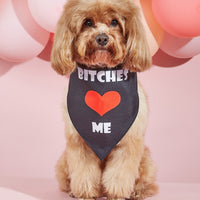 HKM-5873853 Dog Scarf with Letter Pattern - Saliva Towel in Black, Pink, Red, Multicolor, Sizes S, M, L