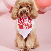 HKM-5873853 Dog Scarf with Letter Pattern - Saliva Towel in Black, Pink, Red, Multicolor, Sizes S, M, L