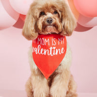 HKM-5873853 Dog Scarf with Letter Pattern - Saliva Towel in Black, Pink, Red, Multicolor, Sizes S, M, L