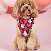 HKM-5873853 Dog Scarf with Letter Pattern - Saliva Towel in Black, Pink, Red, Multicolor, Sizes S, M, L