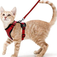HKM-5881277 Breathable Reflective Cat Harness with Adjustable Straps and Leash