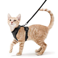 HKM-5881277 Breathable Reflective Cat Harness with Adjustable Straps and Leash