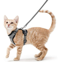 HKM-5881277 Breathable Reflective Cat Harness with Adjustable Straps and Leash