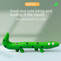 HKM-5882813 Durable Latex Lizard Dog Toy for Molar Health - Pink and Green