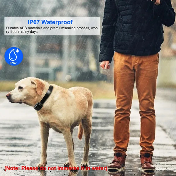 HKM-5883453 Waterproof Dog Training Collar Receiver with Adjustable Belt and High-Sensitive Signal