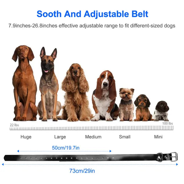 HKM-5883453 Waterproof Dog Training Collar Receiver with Adjustable Belt and High-Sensitive Signal