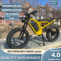 HKM-588947 1500W 20 Inch Electric Bike with 7 Speed Gears and 48V Lithium Battery