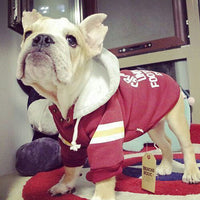 HKM-5890109 Cozy Pullover Hooded Sweater for Dogs in Red and Green, Velvet Material, Sizes XS to XXL