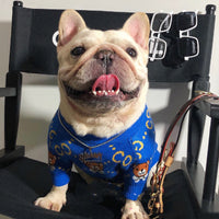 HKM-589203 Cozy Blue Bear Wool Sweater for Dogs - Available in Multiple Sizes