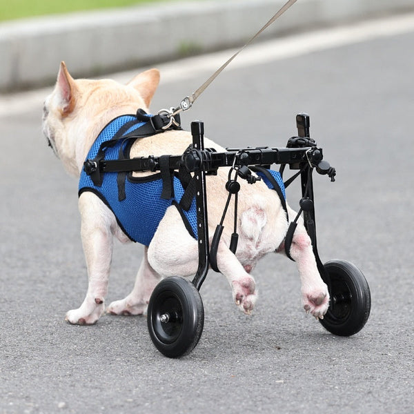 HKM-5893181 Blue Aluminum Alloy Pet Wheelchair for Disabled Dogs