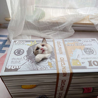 HKM-5893693 Corrugated Paper Cat Scratching Board with Nest Design for Relaxation and Play