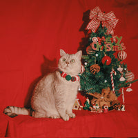 HKM-5895741 Pet Christmas Holiday Bib for Cats and Small Dogs, Polyester Material, Sizes S and M Available