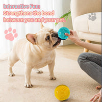 HKM-5900733 Durable Sugar Squeaky Dog Toy for Aggressive Chewers – Suitable for Large and Medium Dogs