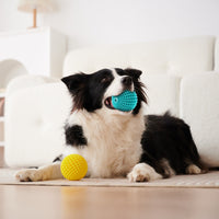 HKM-5900733 Durable Sugar Squeaky Dog Toy for Aggressive Chewers – Suitable for Large and Medium Dogs