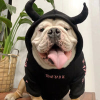 HKM-5904317 Casual Fleece Sweater for Pets - Halloween Themed, Pure Cotton, Various Sizes Available