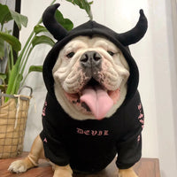 HKM-5904317 Casual Fleece Sweater for Pets - Halloween Themed, Pure Cotton, Various Sizes Available