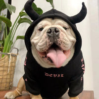 HKM-5904317 Casual Fleece Sweater for Pets - Halloween Themed, Pure Cotton, Various Sizes Available
