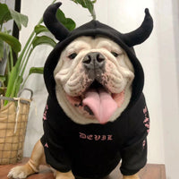 HKM-5904317 Casual Fleece Sweater for Pets - Halloween Themed, Pure Cotton, Various Sizes Available