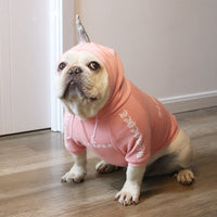 HKM-5904317 Casual Fleece Sweater for Pets - Halloween Themed, Pure Cotton, Various Sizes Available