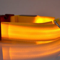 HKM-5907005 Adjustable Nylon LED Pet Collar with Glow in the Dark Features, Night Safety Leash for Dogs and Cats